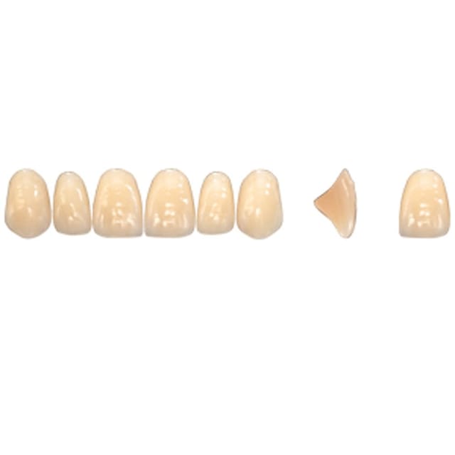 Pala Denture Teeth Mondial 6 Anterior CE - Upper S443
